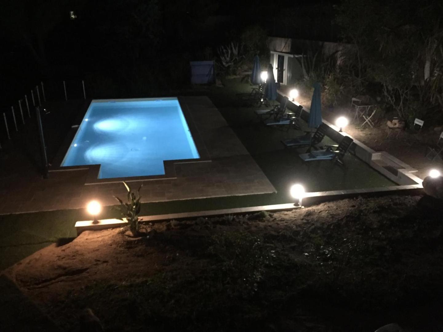 Corsicadream Arone Superbe Appartement Dans Villa, Vue Panoramique Mer, Piscine, Proche Porticcio Pietrosella 外观 照片