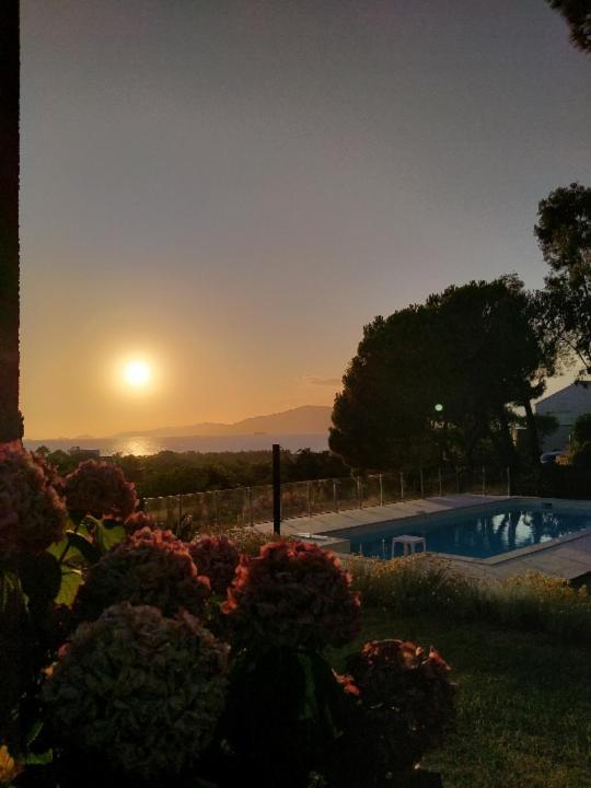 Corsicadream Arone Superbe Appartement Dans Villa, Vue Panoramique Mer, Piscine, Proche Porticcio Pietrosella 外观 照片
